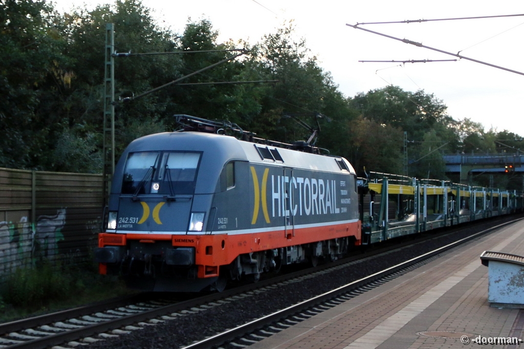 IMG10609.JPG - 242.531