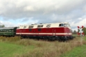 IMG10888